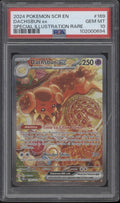 Dachsbun ex Pokemon Stellar Crown Special Illustration Rare #169 PSA 10 *See Photos*
