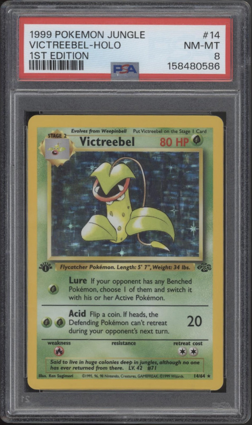 Victreebel Pokemon Jungle Holo 1st Edition #14 PSA 8