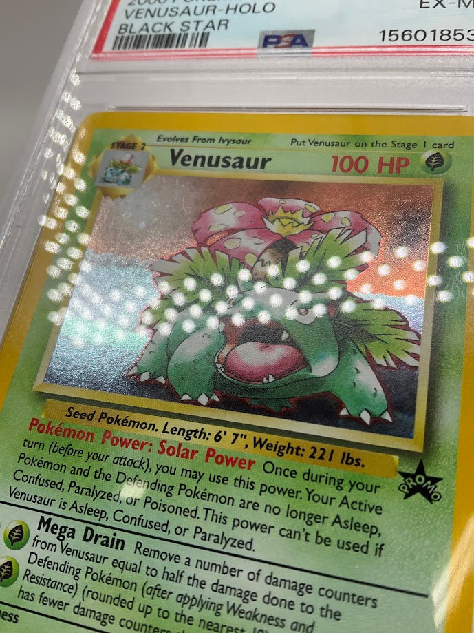 Venusaur Pokemon Black Star Promo Holo #13 PSA 6
