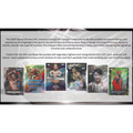 2026 Topps Chrome UFC Delight Box